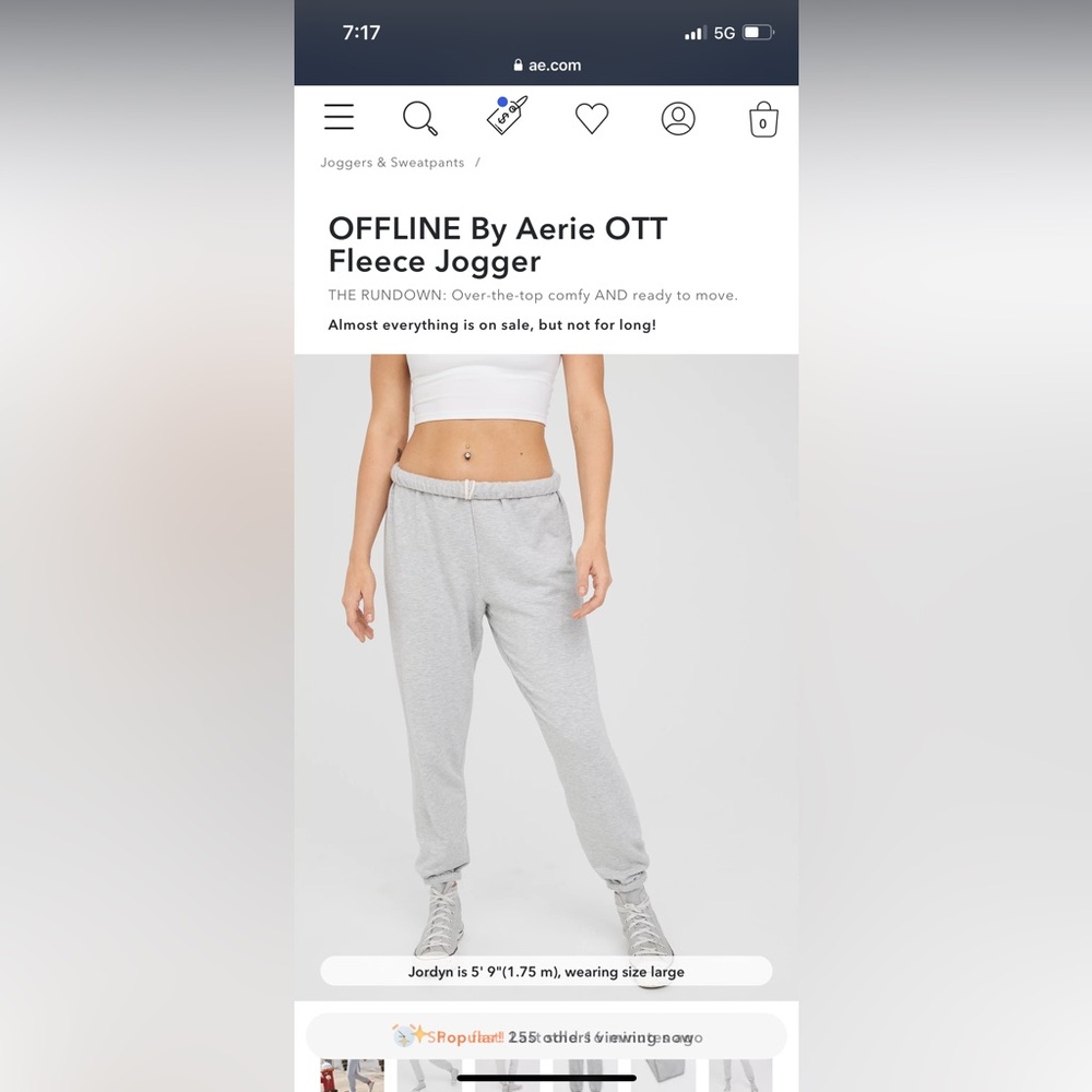 AERIE OTT GREY FLEECE JOGGERS